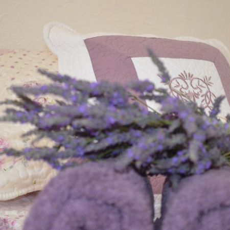 La Bastide De Sauvetas Hotel Bonlieu-sur-Roubion Екстериор снимка